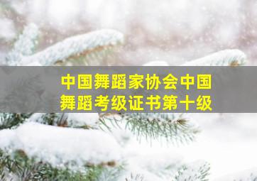 中国舞蹈家协会中国舞蹈考级证书第十级