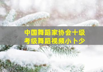 中国舞蹈家协会十级考级舞蹈视频小卜少