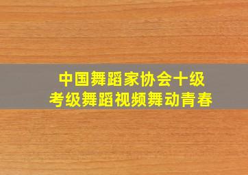 中国舞蹈家协会十级考级舞蹈视频舞动青春