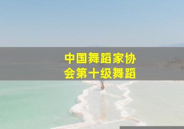 中国舞蹈家协会第十级舞蹈