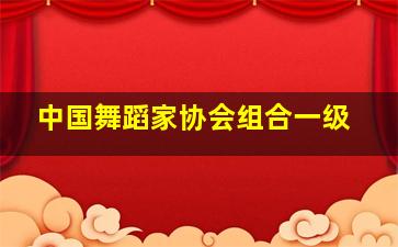 中国舞蹈家协会组合一级