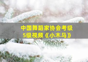 中国舞蹈家协会考级5级视频《小木马》