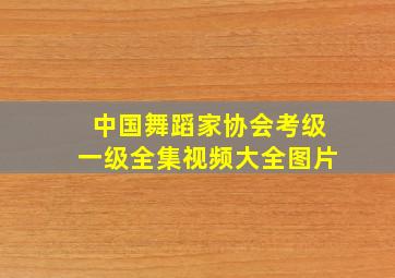 中国舞蹈家协会考级一级全集视频大全图片