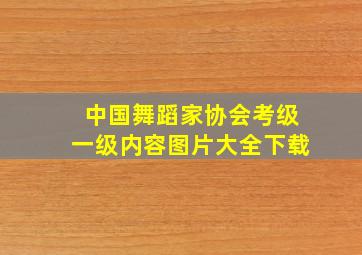 中国舞蹈家协会考级一级内容图片大全下载