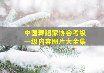 中国舞蹈家协会考级一级内容图片大全集