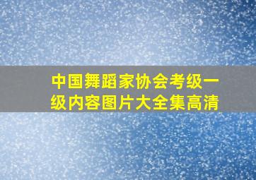 中国舞蹈家协会考级一级内容图片大全集高清