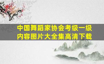 中国舞蹈家协会考级一级内容图片大全集高清下载