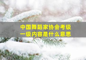 中国舞蹈家协会考级一级内容是什么意思