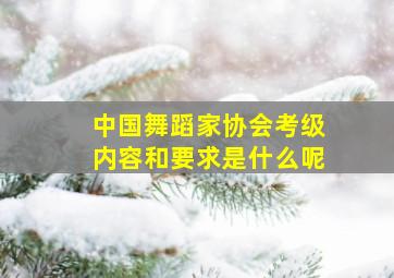 中国舞蹈家协会考级内容和要求是什么呢