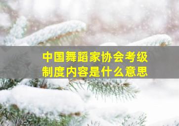 中国舞蹈家协会考级制度内容是什么意思