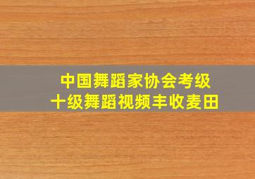 中国舞蹈家协会考级十级舞蹈视频丰收麦田