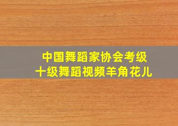 中国舞蹈家协会考级十级舞蹈视频羊角花儿