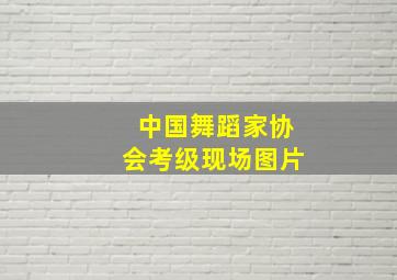 中国舞蹈家协会考级现场图片