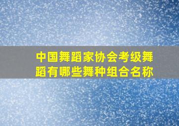 中国舞蹈家协会考级舞蹈有哪些舞种组合名称