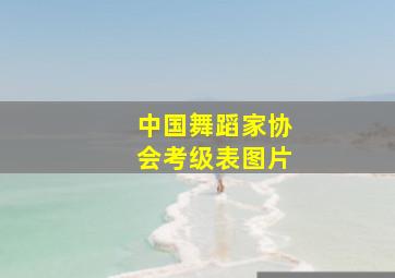 中国舞蹈家协会考级表图片