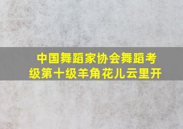 中国舞蹈家协会舞蹈考级第十级羊角花儿云里开