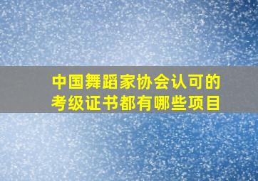 中国舞蹈家协会认可的考级证书都有哪些项目