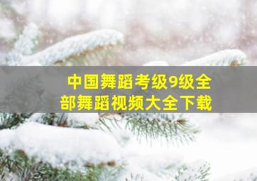 中国舞蹈考级9级全部舞蹈视频大全下载