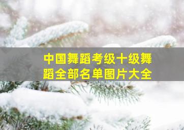 中国舞蹈考级十级舞蹈全部名单图片大全