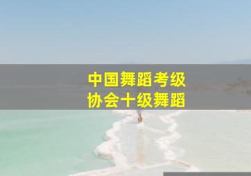 中国舞蹈考级协会十级舞蹈