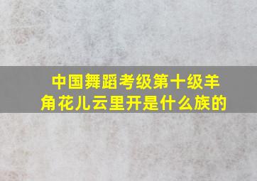 中国舞蹈考级第十级羊角花儿云里开是什么族的