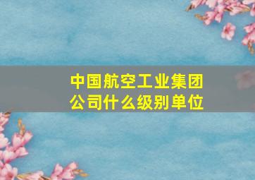 中国航空工业集团公司什么级别单位