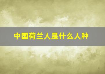 中国荷兰人是什么人种