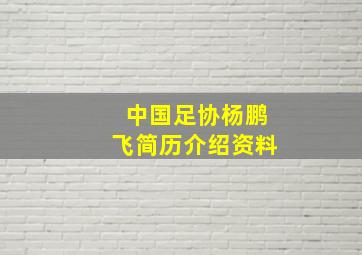 中国足协杨鹏飞简历介绍资料