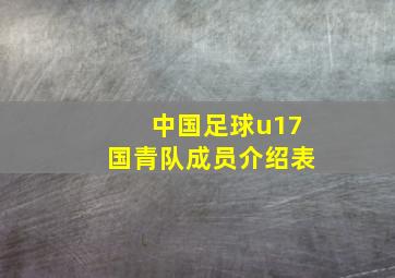 中国足球u17国青队成员介绍表