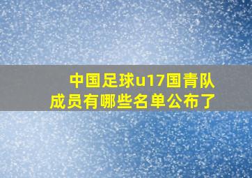 中国足球u17国青队成员有哪些名单公布了