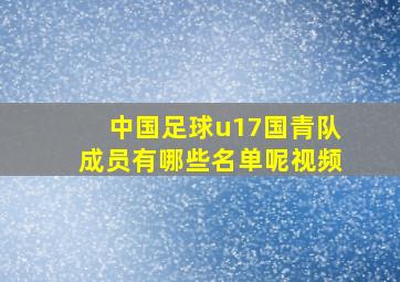 中国足球u17国青队成员有哪些名单呢视频