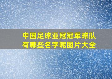 中国足球亚冠冠军球队有哪些名字呢图片大全