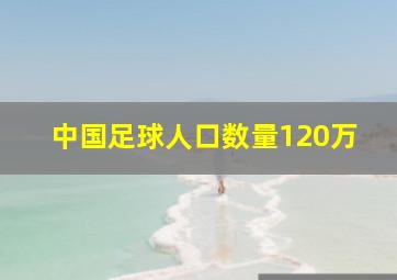 中国足球人口数量120万