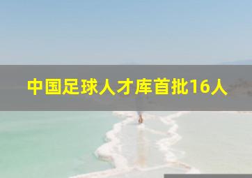 中国足球人才库首批16人