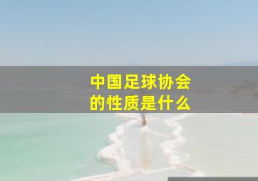 中国足球协会的性质是什么