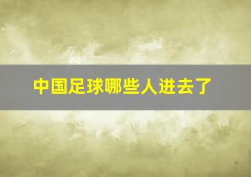 中国足球哪些人进去了