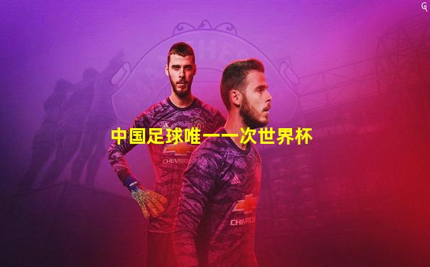 中国足球唯一一次世界杯