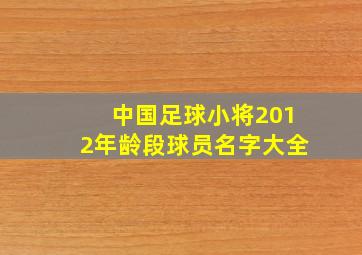 中国足球小将2012年龄段球员名字大全