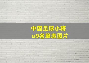 中国足球小将u9名单表图片