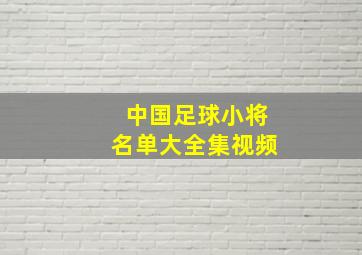 中国足球小将名单大全集视频