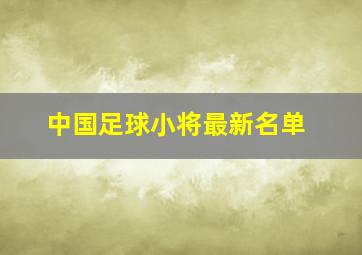 中国足球小将最新名单