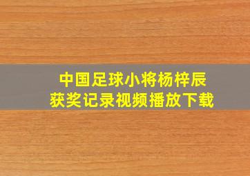 中国足球小将杨梓辰获奖记录视频播放下载