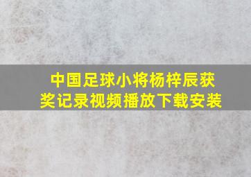 中国足球小将杨梓辰获奖记录视频播放下载安装