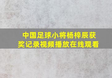 中国足球小将杨梓辰获奖记录视频播放在线观看