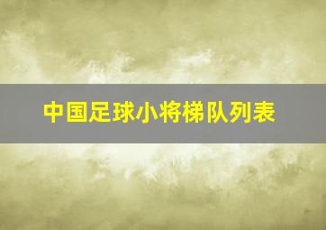 中国足球小将梯队列表