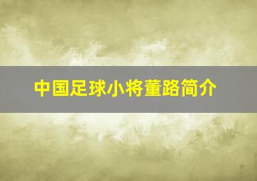 中国足球小将董路简介