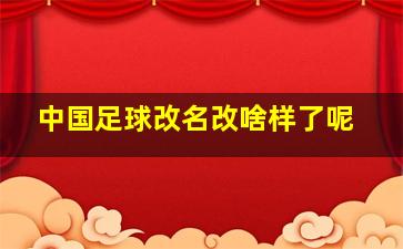 中国足球改名改啥样了呢