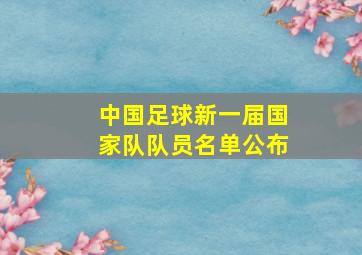 中国足球新一届国家队队员名单公布