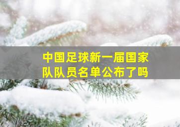 中国足球新一届国家队队员名单公布了吗