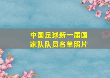 中国足球新一届国家队队员名单照片